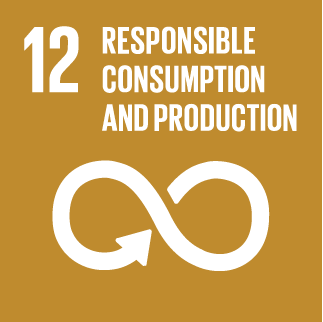 responsible consumption and production, global goals