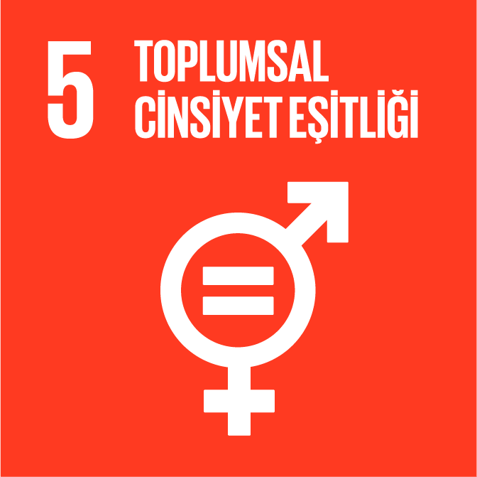 Toplumsal Cinsiyet eşitliliği, insan hakları, kadın hakları